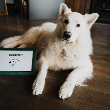 Bruderherz 3*