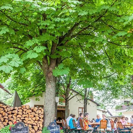 Blödel Grüner Baum Hotel Nürnberg