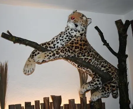African Meistereck.com Hotel 3*