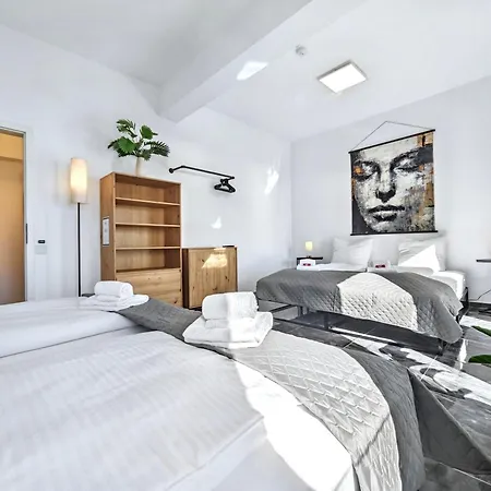 Apartment Designer Loft Fuer Bis Zu 15, Whirlpool, Infrarotsauna, Billard, Pokertisch, 2 Baeder Nuremberg