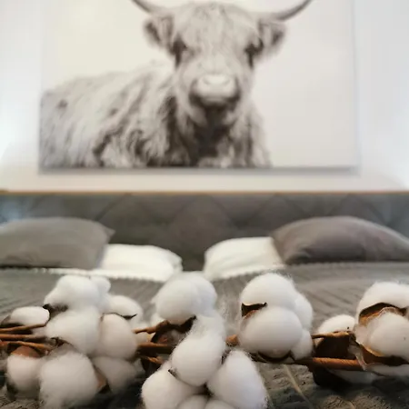 Smartapart - Design - Favorite Place - Full Equipment - Public Transport Apartment Nuremberg