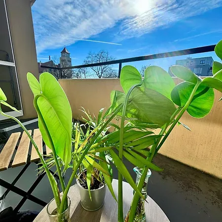 2-room With Balcony And Kitchen Apartment Nuremberg