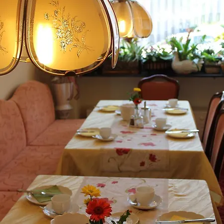 Luga Hotel 3*