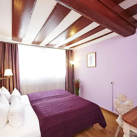 Hotel Elch 3*