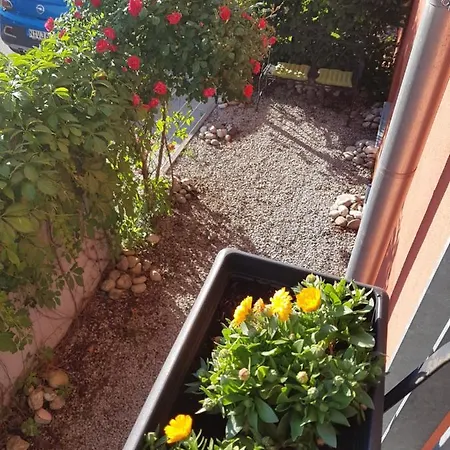 Tillyhome Nuremberg