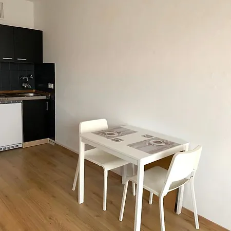 Apartment Renoviert, Modern Und Ruhig *