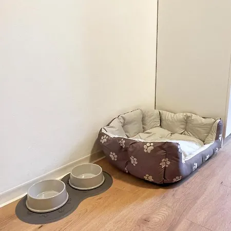 Appartement Moderne In