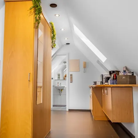 Apartment Gesamte - Buero - Kueche - Netflix