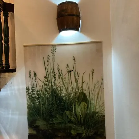 Aparthotel Zur Baumwolle