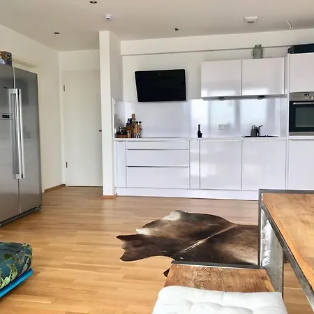 Exclusive Penthouse With Rooftop In The City Apartment Nuremberg