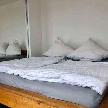 Apartment Exclusive Penthouse With Rooftop In The City *