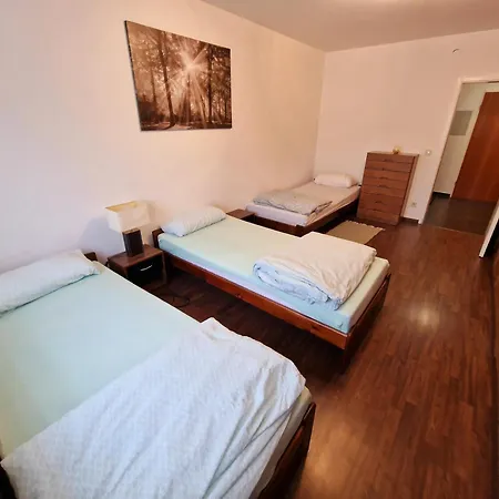 Apartment 2-zimmer Messe-apartment Nbg-langwasser 60qm Nürnberg
