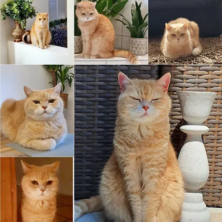 홈스테이 Dantas *
