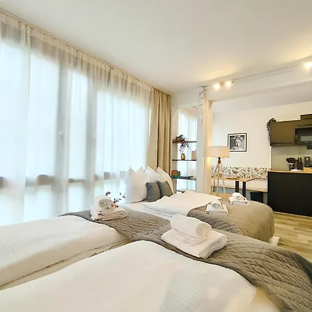Design-apartment Fuer Bis Zu 4 Im 1 Og, Modern, Dachterrasse, Grill, Ruhige Lage, Plus, Wii, Lan Und Wlan Apartment