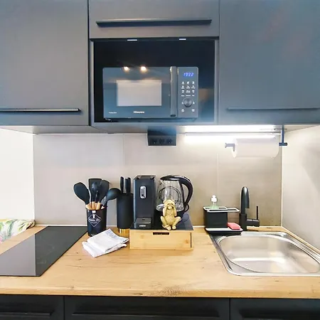 Apartment Design-apartment Fuer Bis Zu 4 Im 1 Og, Modern, Dachterrasse, Grill, Ruhige Lage, Plus, Wii, Lan Und Wlan Nuremberg