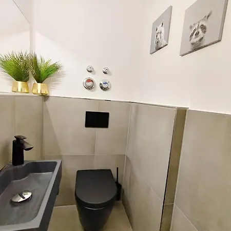 Design-apartment Fuer Bis Zu 4 Im 1 Og, Modern, Dachterrasse, Grill, Ruhige Lage, Plus, Wii, Lan Und Wlan Nuremberg