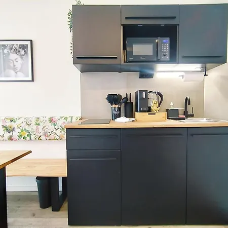 Apartamento Design Fuer Bis Zu 4 Im 2 Og, Modern, Dachterrasse, Grill, Ruhige Lage, Plus, Wii, Lan Und Wlan