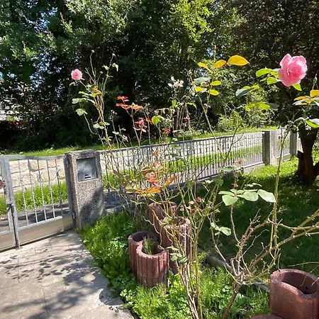 Messe-apartment, 4 Schlafzimmer, 80 Qm, Garten - 6 Km Zur Messe, Verkehrsguenstig, Ruhig, Parkplaetze * Nuremberg