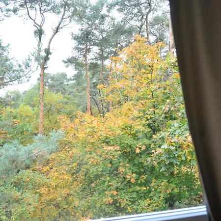 Hotel Im Natur Mit Eigene Kueche Und Bad