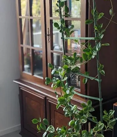 3rooms For Business Or Family Apartmán