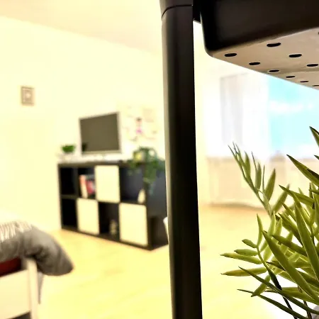 With 2 Balconies In Apartment *