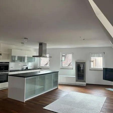 Apartment Luxury Penthouse In The Center