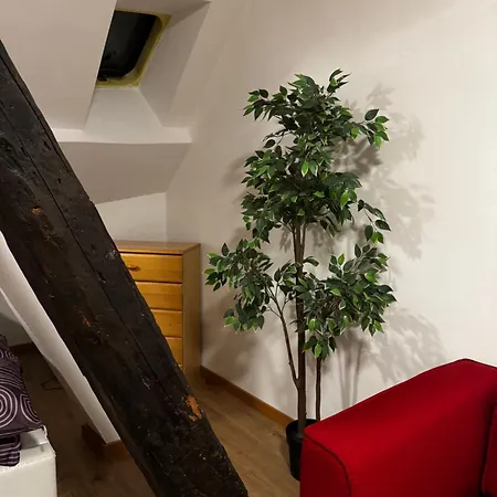 Apartment Cozy Small One Room Apartment
