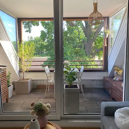 Apartment Modern Zentral Ruhig Nuremberg