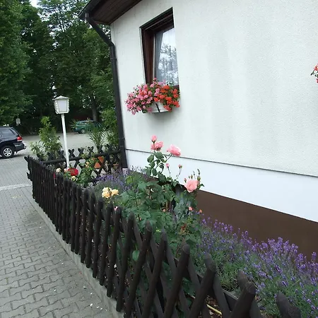 Gæstehus Gaestehaus Palmengarten
