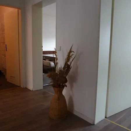 Apartment Aussere Laufer Gasse