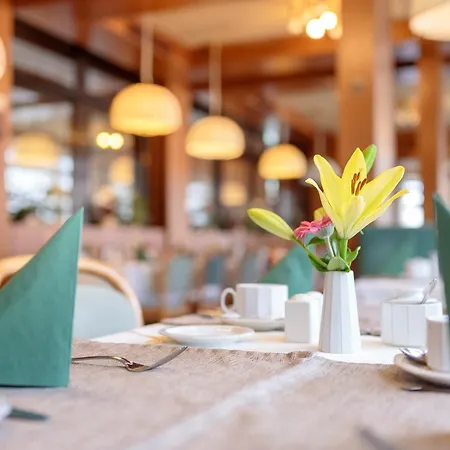 Arotel Living Hotel 3*