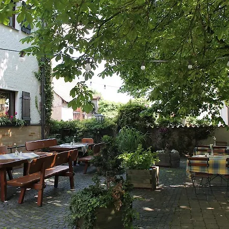 Höfler 3*