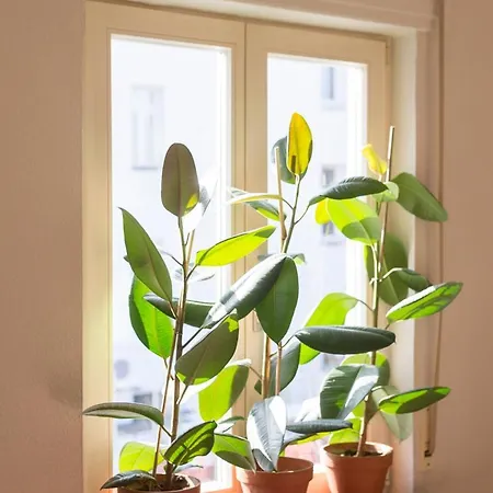 Gastzimmer Regina * Nürnberg
