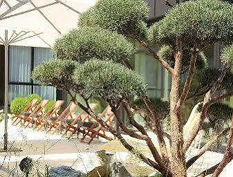 رمادا نورمبرغ بارك هوتل 4* نورنبيرغ