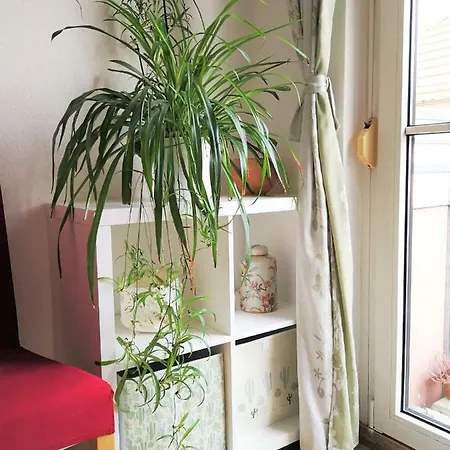 Quiet City-apt, 4min City-center, 18min Fair Nuernberg!!! * Norimberk