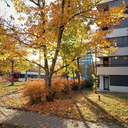 Central-apt At Lake, Citycenter 5min, Fair 18min!!! *