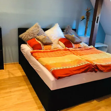 Apartment Sonnige 2-zi-wohnung Nahe Stadtmitte Und Messe