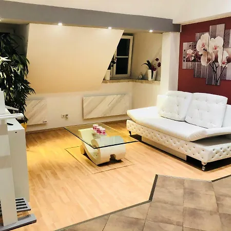 Sonnige 2-zi-wohnung Nahe Stadtmitte Und Messe Apartment *
