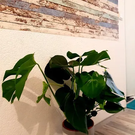 Humboldtstrasse 79